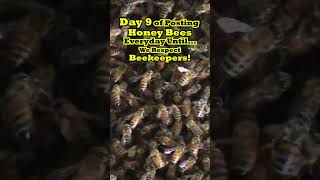 Day 9 of Posting HONEY BEES 🐝 Everyday Until We Respect The BEEKEEPERS Keeping Them Alive...