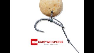 BOW RIG TUTORIAL Carp Whisperer TV