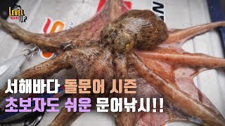 [레벨업] #4_문어낚시 초보자도 쉽게!! / 서해 격포 위도권