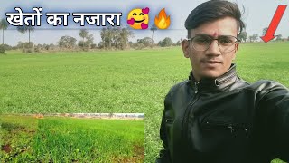 खेतों का नजारा कितना खूबसूरत है 🥰 | Farming life| #farming #tractor #tractorvideos