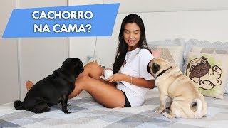 Meus cachorros dormem na cama? 😮