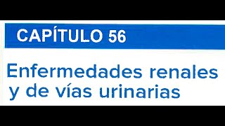 ENFERMEDADES RENALES Y DE VÍAS URINARIAS EN EL EMBARAZO