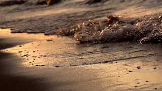 Video Background Sunset di Pantai No Copyright