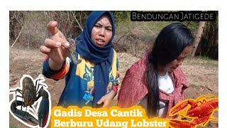 Panen lobster di bendungan Jatigede