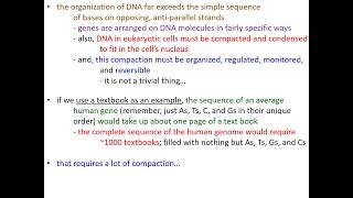 Molecular Genetics, Part 1