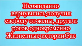 Неожиданно вернувшись,получил свободу от жены, друга и рогов одновременно  Жизненные истории Рас