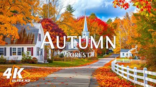 Beautiful New England Fall Foligae and New Hampshire 4K - Great Relaxing Music🍁4K Autumn Forests