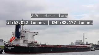 Cargo Ship | Captain Antonis Bulk Carrier