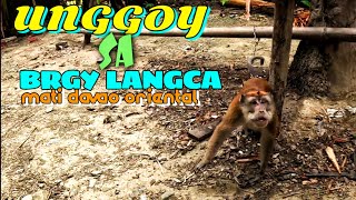 NAG PUNTA KAME SA BRGY LANGCA & BRGY EMPOG TIBANBAN