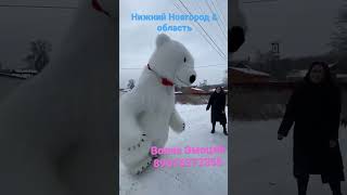 Не знаешь как поздравить близких? Умка вам может!👍🥳 #shorts #нижнийновгород #топ #умка #мишка