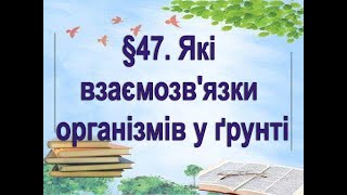 §47📚 АВДІОПІДРУЧНИК. Пізнаємо природу. 6 клас. Дарія Біда. Які взаємозв'язки організмів у ґрунті