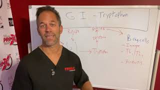 Learn more about the Gut and Tryptophan!