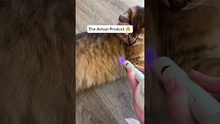 Prototype Vs Actual Product 😱 Reach the Peak of Cat Parent Level With This Cat Gadget. #cat #cats