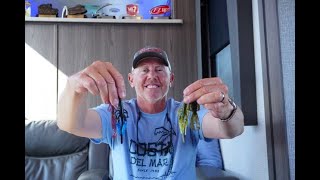 My Top 3 Plastic Flipping Baits