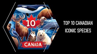 🇨🇦 Canada's Wildlife Wonders: 🦁 Top 10 Iconic Species 🦌