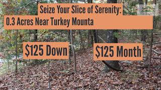 "Seize Your Slice of Serenity: .3 Acres Near Turkey Mountain Golf Course Await FVL #2350