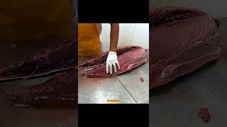 Unimaginable big tuna fishing cutting from Aceh Indonesia