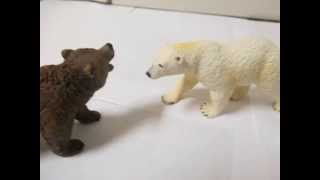 Animal Face-Off: Polar Bear vs.Grizzly Bear