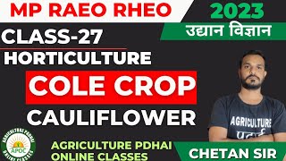 Class-27 | Cole crops | Cauliflower | Horticulture | MP RAEO | RHEO | SADO | ATM BTM | By Chetan Sir