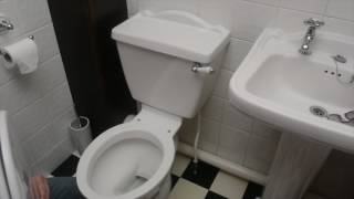 Choosing and Fitting a Toilet Seat