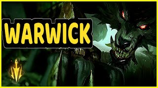 WARWICK JUNGLE CLIPS