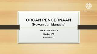 organ pencernaan (hewan dan manusia) || materi tema 3 subtema 1 kelas V SD