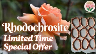 Saturday Special Offer | Rhodochrosite | Heal and Ascend |