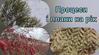 Мої в'язальні процеси і плани на рік