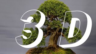 3D styling , small things make a big difference in Bonsai designs.