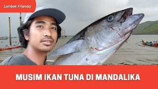 Nelayan Pantai Kuta Mandalika Berbahagia