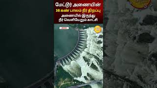 மேட்டூர் அணையின் அழகு | 16 கண் பாலத்தில் நீர் வெளியேறும் காட்சி! #metturdam #mettur #shortsfeed #yt