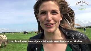 Deel 1 Reis van het melkpak - Boerderij