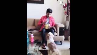 Wait For The End 😂 | Abhishek Nigam | Wasooli Bhai