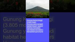 Gunung Kerinci (3.805 mdpl)