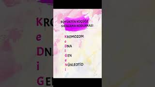 DNA VE GENETİK KOD NOTLAR #lgs #lgs2025 #science #fenbilimleri #fyp #maths #matematik #keşfet #tyt