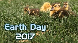 Earth Day Message 2017