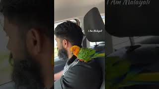 Bird Lover Full | I Am Malayali