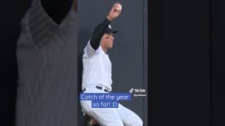 Aaron Judge makes an amazing catch that robs  Shohei Ohtani #newyorkyankees #aaronjudge #LAAvsNYY