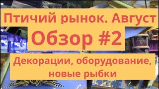 ПТИЧИЙ РЫНОК, САДОВОД. Дополнение к 1 обзору. Новые рыбки, оборудование, декорации, интересные места