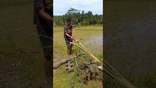 detik- detik traktor sawah impala turun galengan nyungsem #shorts #mesintraktor