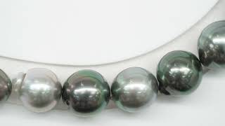 37pcs "High Luster" Multicolor 9-11mm - SB AAA/AA Quality Tahitian Pearl Necklace NL1562 HL3