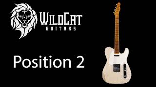 Fender Custom Shop 1952 Telecaster R112111-Sound Byte- Visit https://wildcatguitars.com