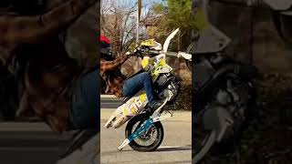 ABS WHEELIE BAR DRZ400SM