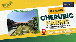 Luxury Redefined: Cherubic Farms Farmland – Where Prestige Meets Rural Elegance