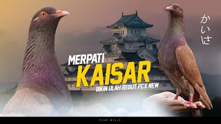 FINAL SERU EVENT MERPATI KOLONG BEBAS PENDOWO CUP PEMALANG | PRALOMBA I HADIAH NEW PCX FULL VIDEO