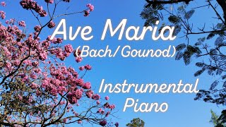 Ave Maria | Bach/Gounod | Instrumental Piano