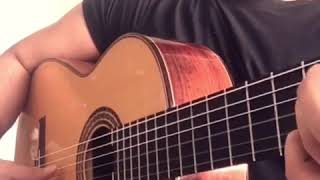 Niki Mukhi 1take Flamenco guitar jam on the Brapp App - Early Morning Frees