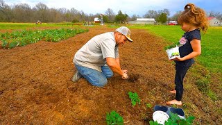 Is Gardening a Waste of Time???  It Depends on Who You Ask