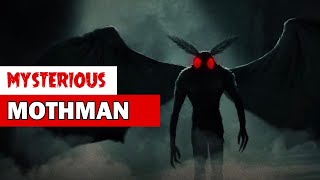 Mystery of the Mothman | Myth or a Reality ? 😳😲