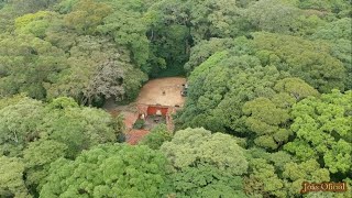 Floresta da Tijuca - Imagens Aérias